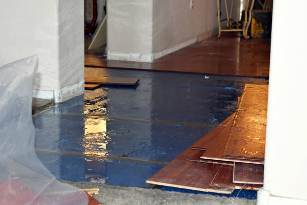 Professional Water Damage Restoration technician working in Kyle, TX